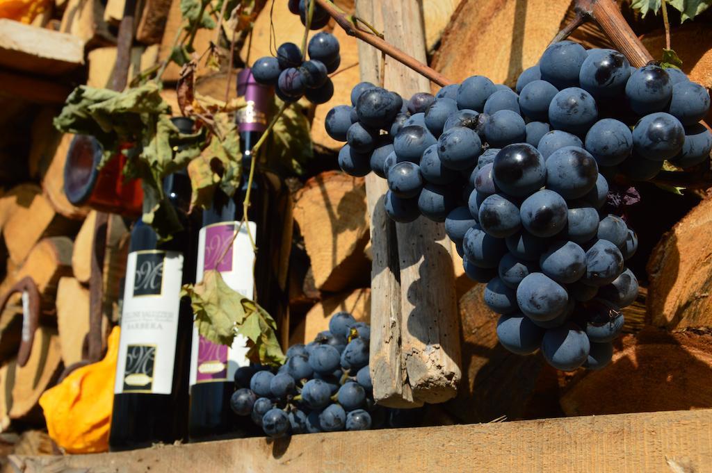 Agriturismo Il Nido Di Bacco Vila Saluzzo Exterior foto